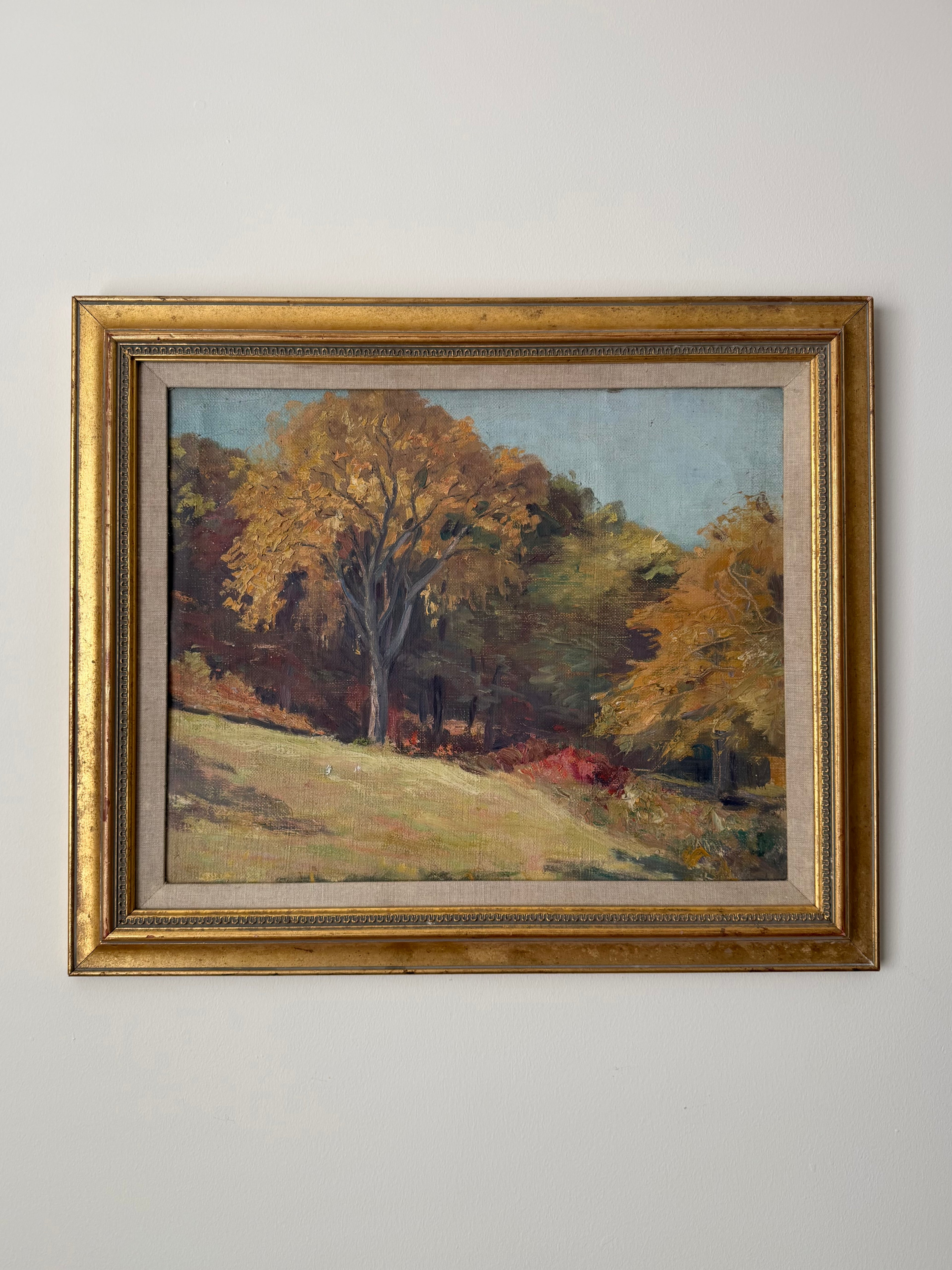 Autumn Meadow