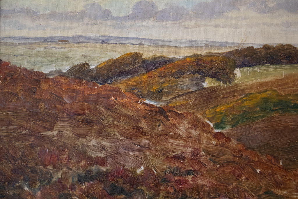 The Jutland Heath