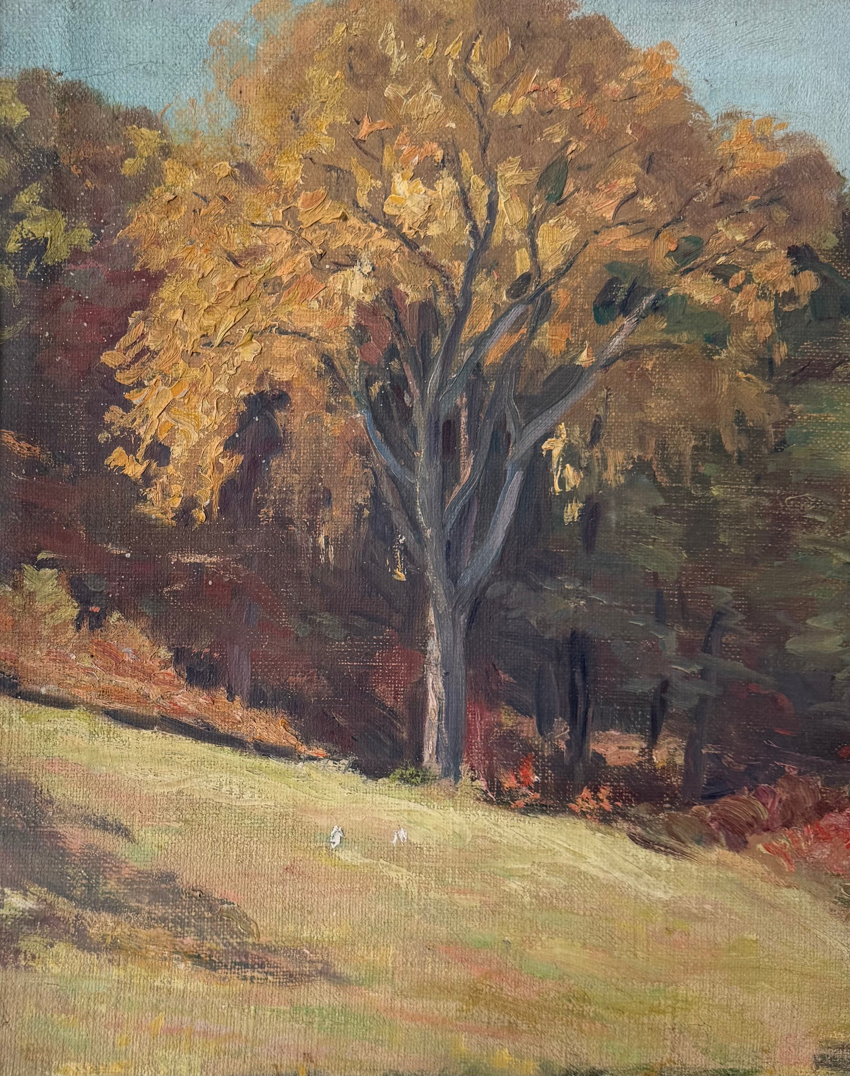 Autumn Meadow
