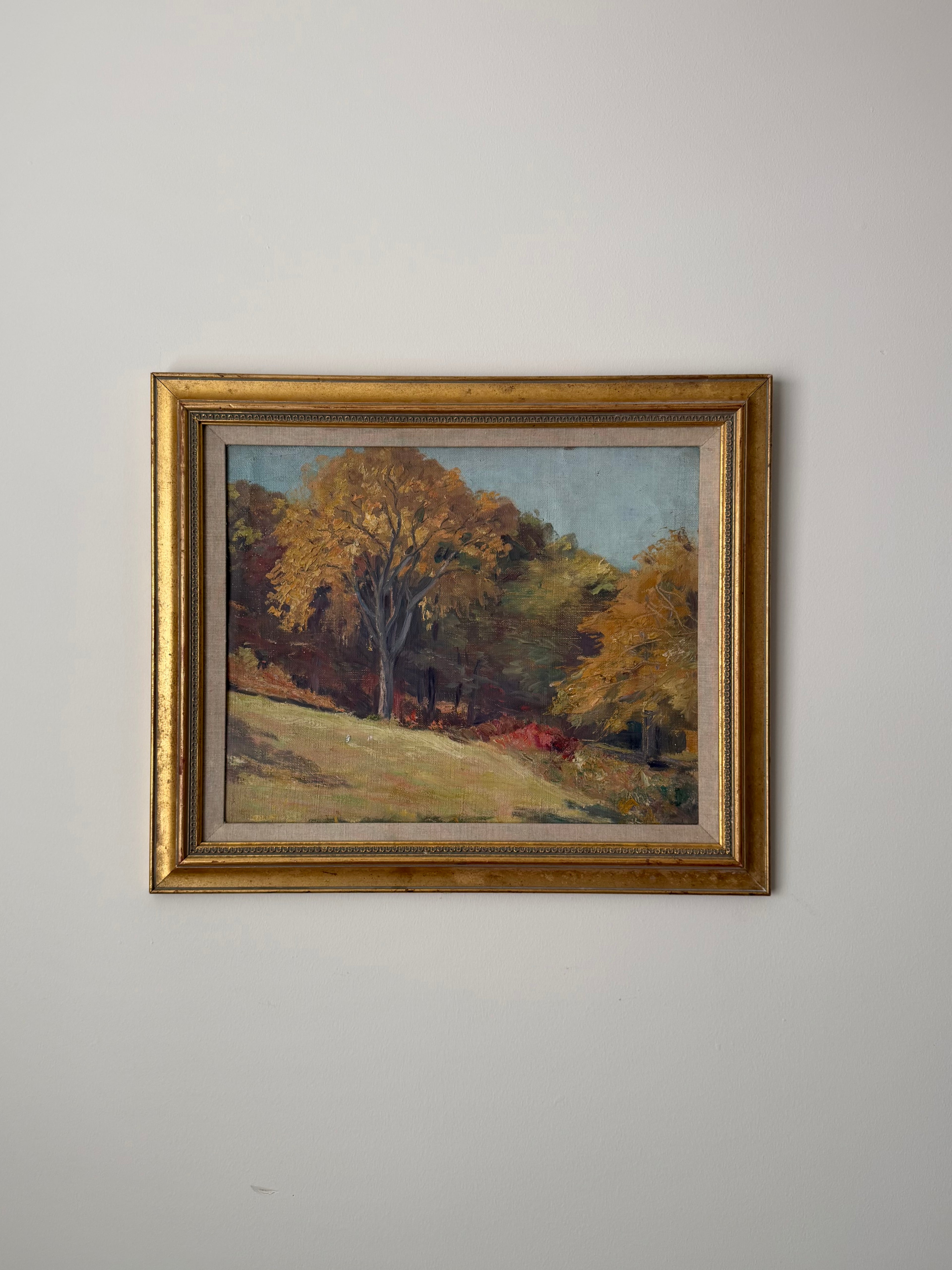 Autumn Meadow