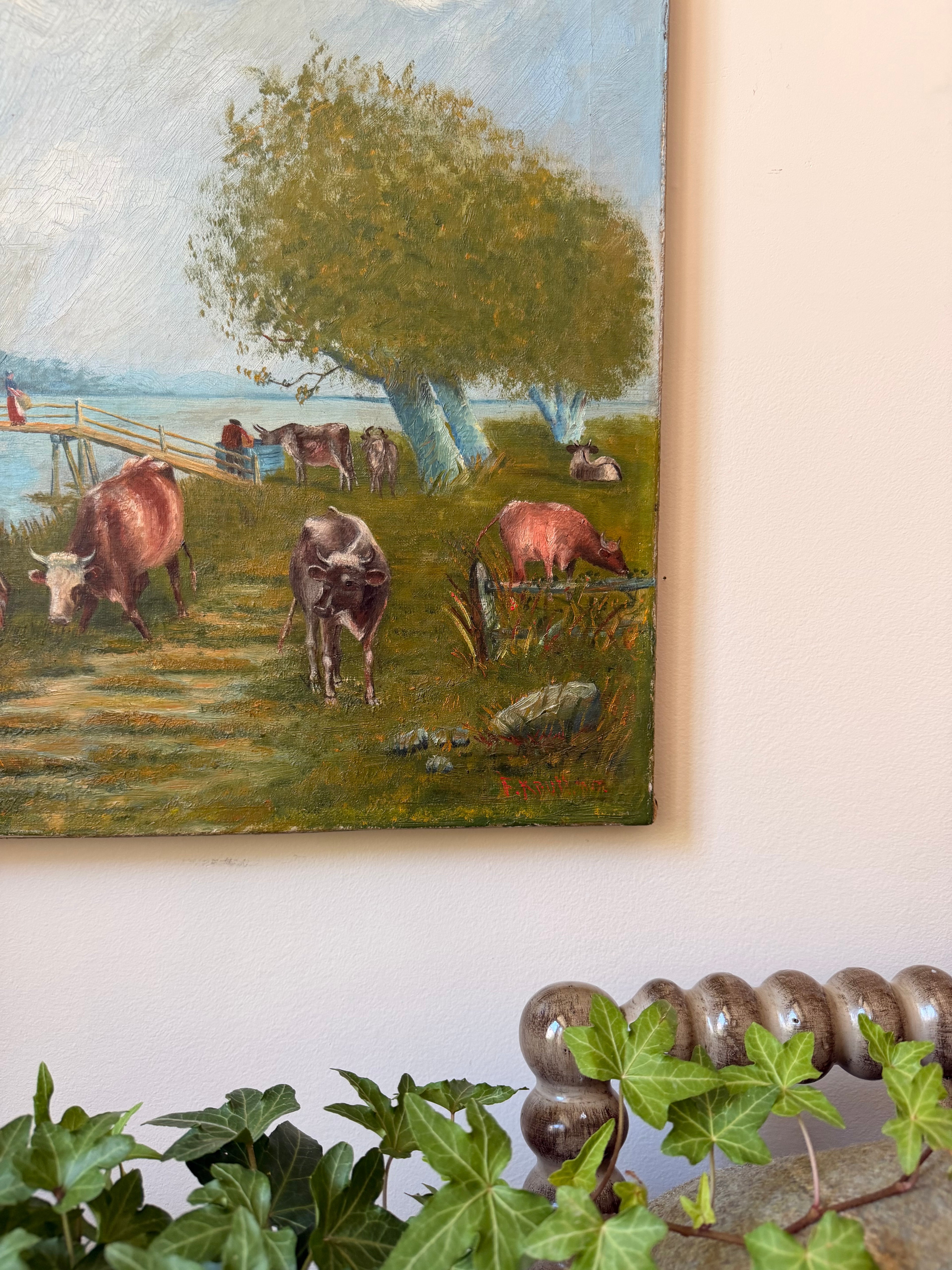 Grazing Cows