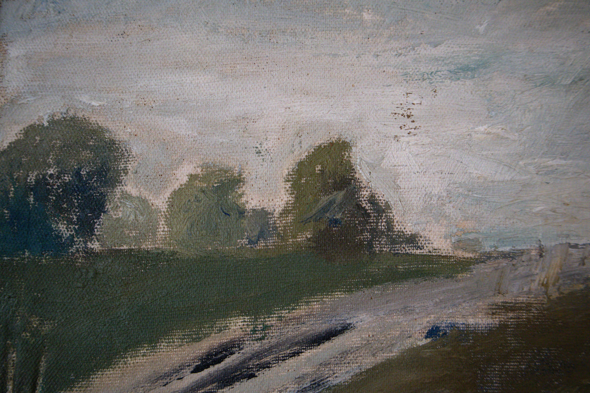 The Lichen Fields