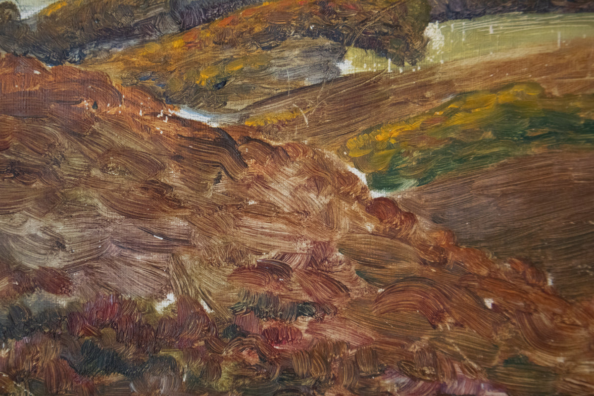 The Jutland Heath