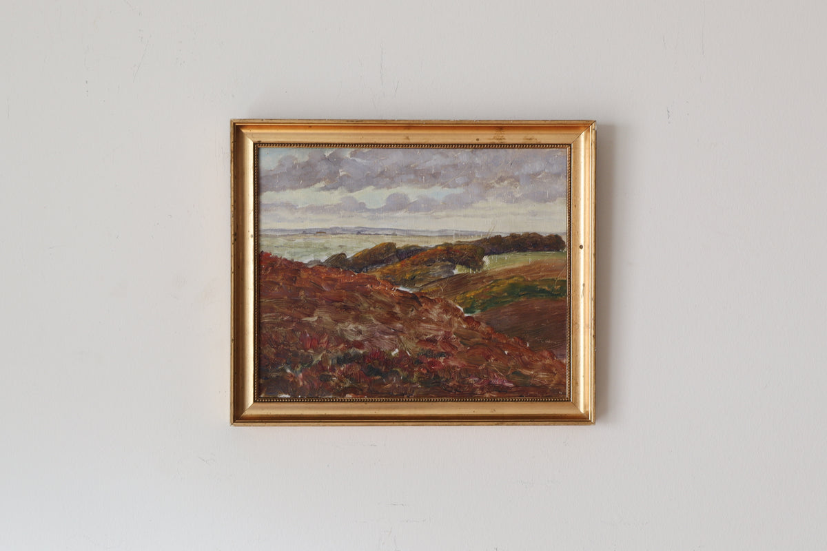 The Jutland Heath