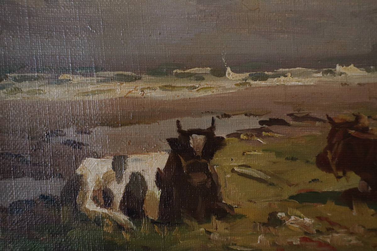 The Grazing Shore