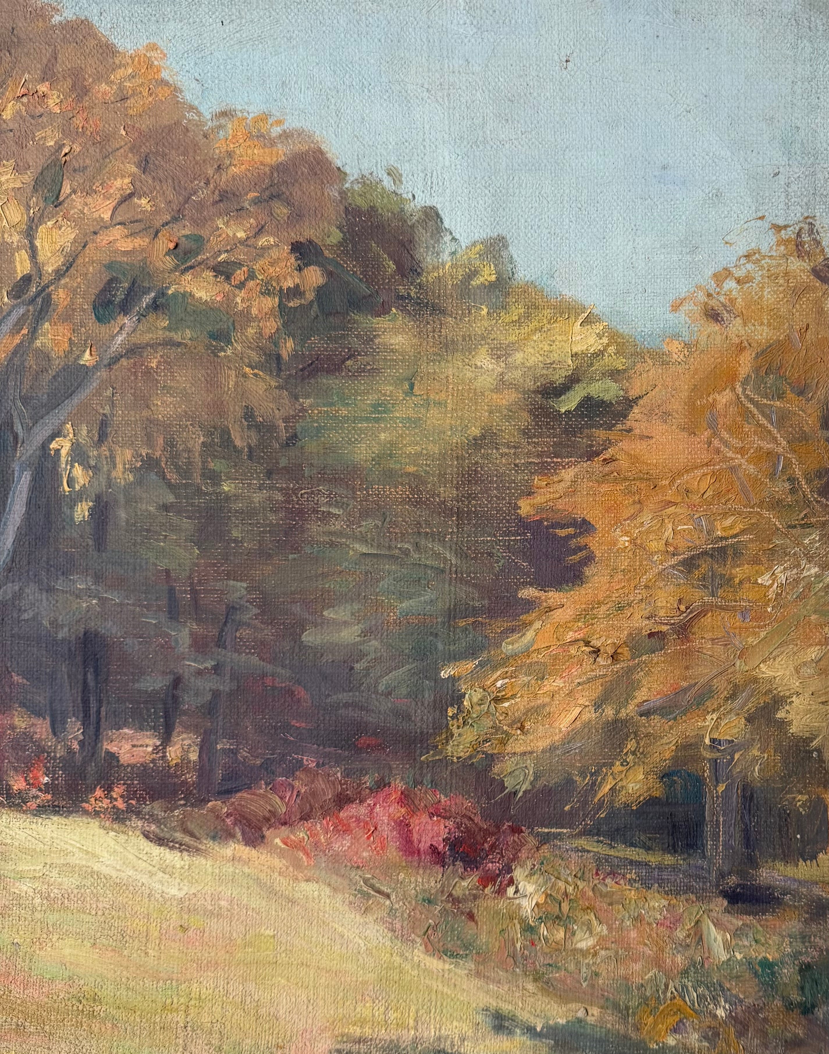 Autumn Meadow