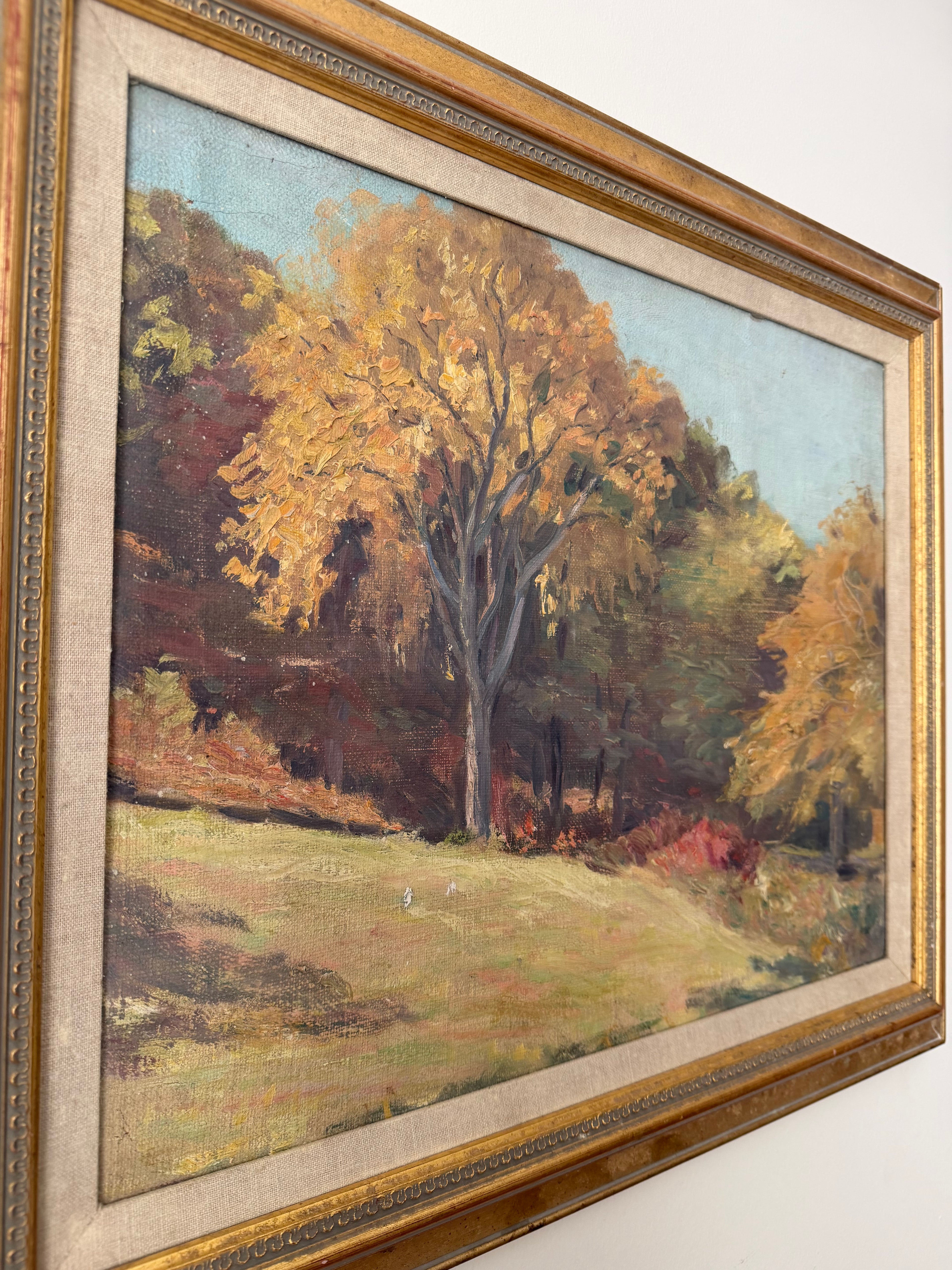 Autumn Meadow