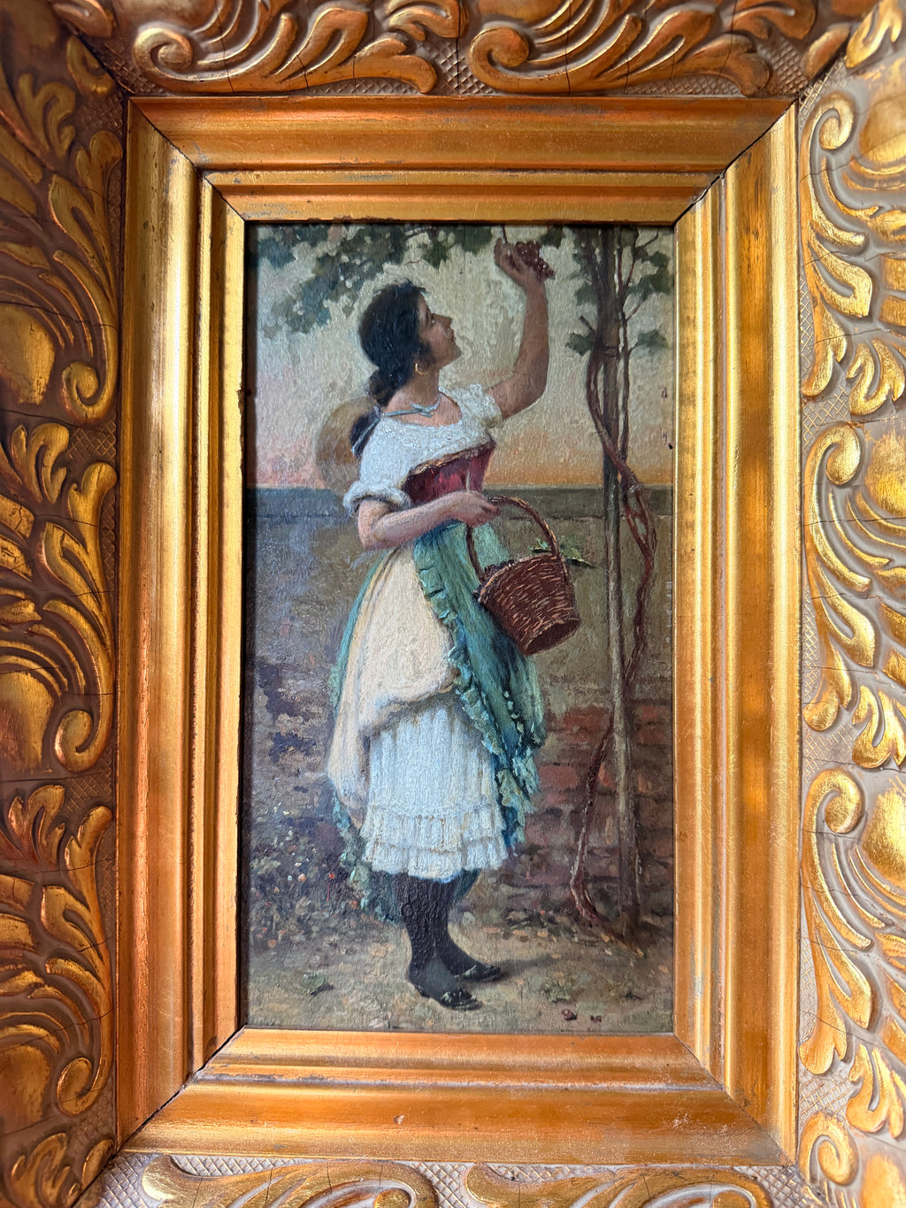 The Grape Harvester