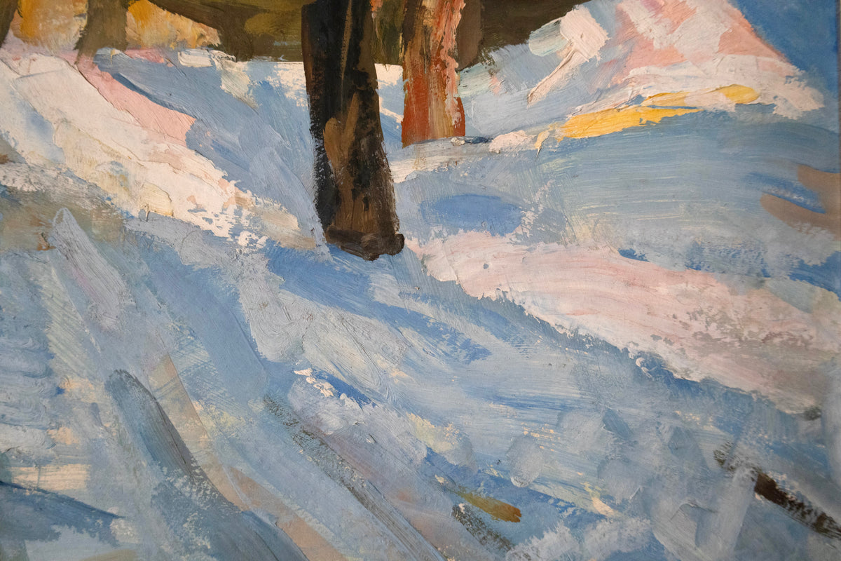 Winter in Sedniv
